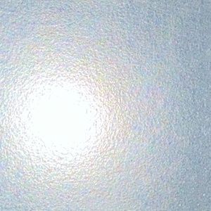 Meet your Posher, Tyson